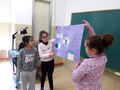 Alimentación saludable_15